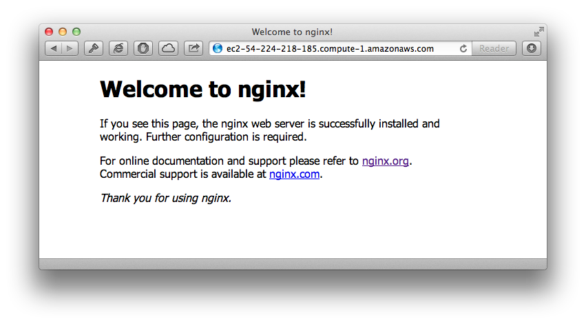 nginx