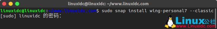 Wing Python IDE可通过Ubuntu中的Snap进行安装