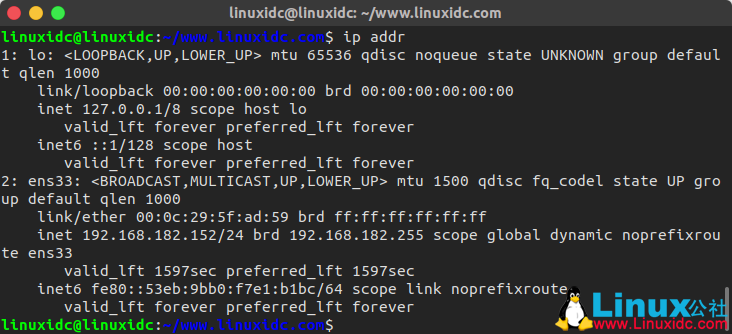 如何在 Linux 中查看 IP 地址