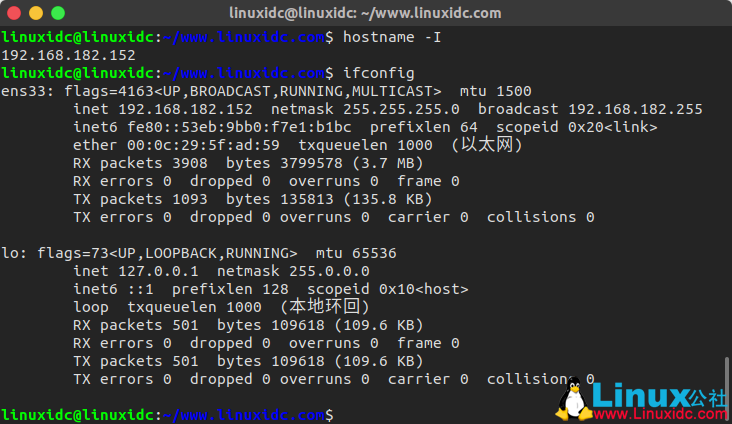 如何在 Linux 中查看 IP 地址