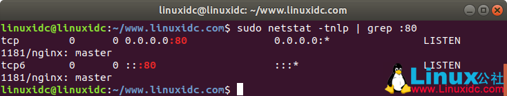 如何在 Linux 中查看正在使用的端口