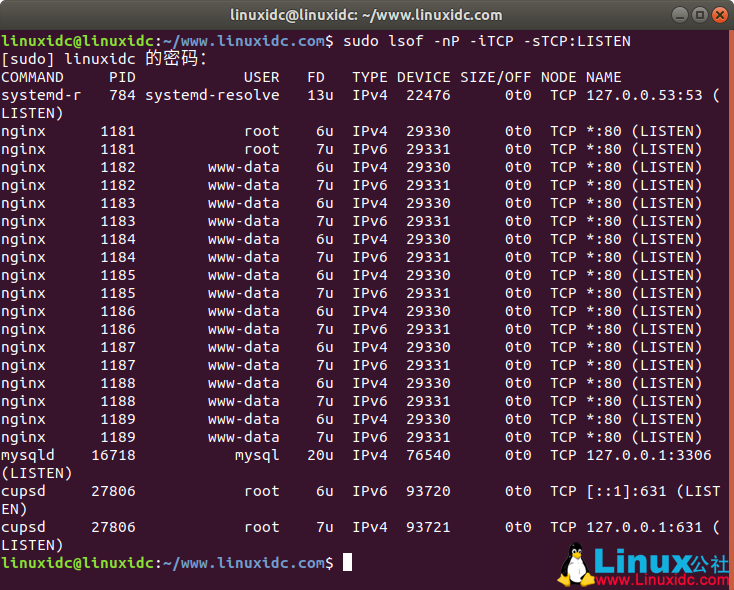 如何在 Linux 中查看正在使用的端口