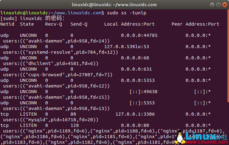 如何在 Linux 中查看正在使用的端口