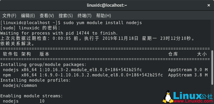 如何在CentOS 8上安装Node.js和npm