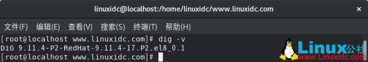 如何在Linux中安装和使用dig和nslookup命令