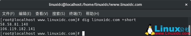 如何在Linux中安装和使用dig和nslookup命令