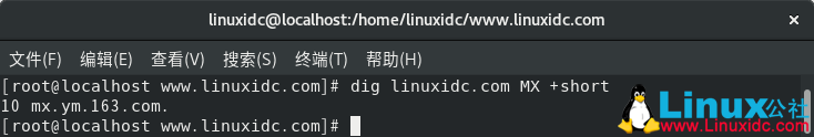 如何在Linux中安装和使用dig和nslookup命令