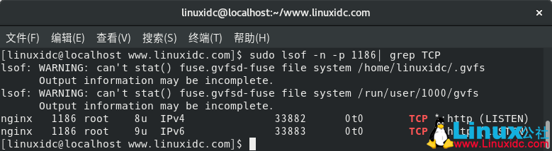 使用lsof命令查找在Linux中侦听指定端口的进程