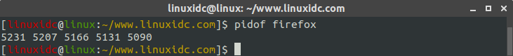 Linux常用命令 pidof 使用简述