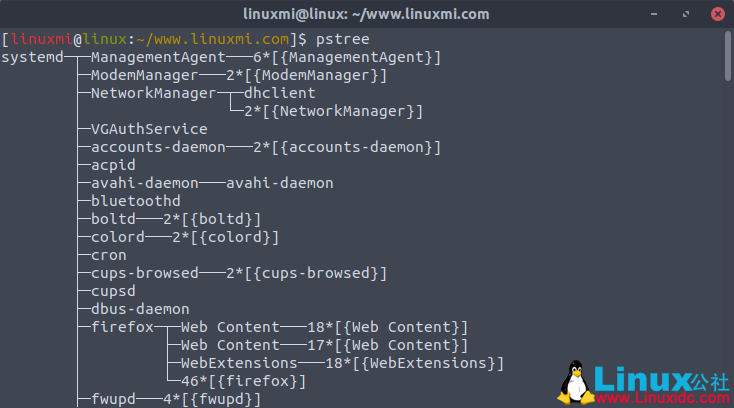 Linux常用命令 ps 入门基础教程