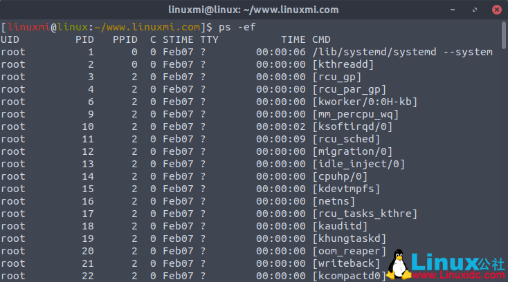 Linux常用命令 ps 入门基础教程