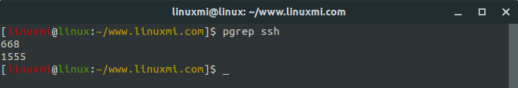 理解Linux中的pgrep命令