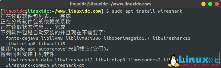 在Ubuntu 18.04 Linux上安装和使用Wireshark