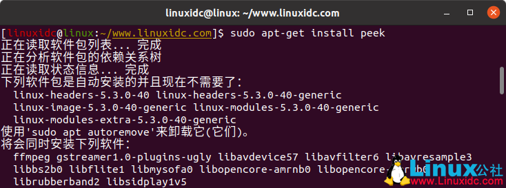 在Ubuntu 18.04上安装peek来录制gif动画