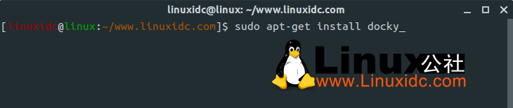 最受欢迎的5个Ubuntu Dock及其衍生产品