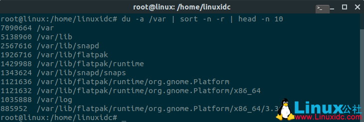 如何在Linux Ubuntu中查找大文件