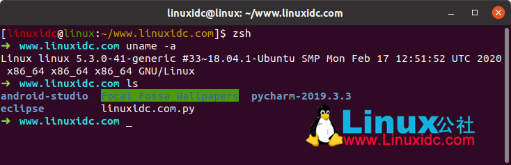 Zsh Shell